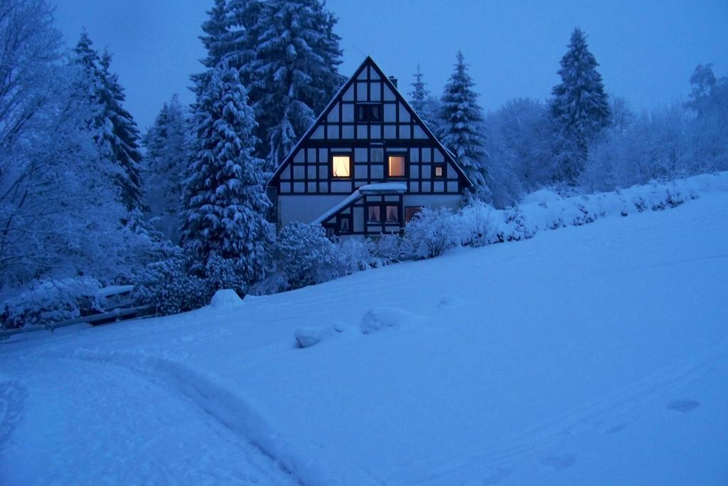 Haus Dupont Villa Winterberg Buitenkant foto