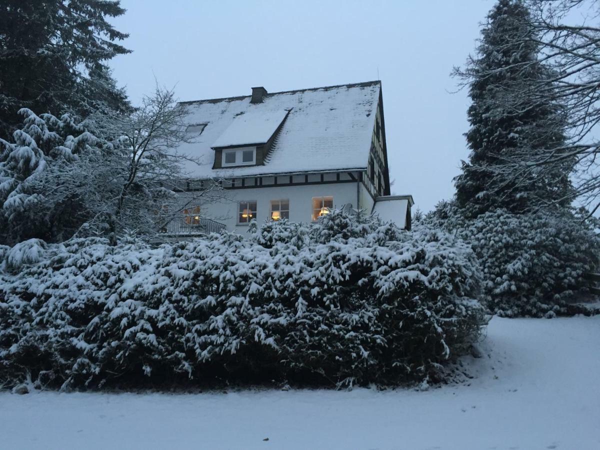 Haus Dupont Villa Winterberg Buitenkant foto